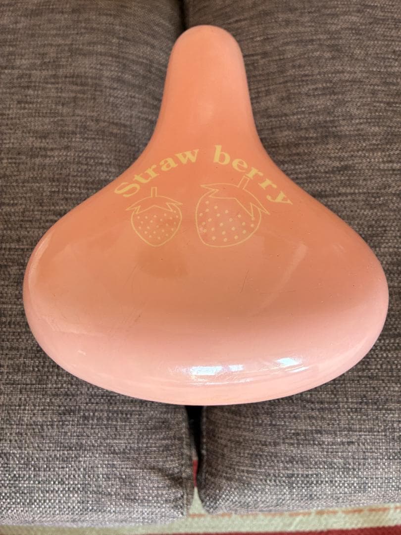 【名古屋市】シスタージェニィ （SISTER JENNI）24インチ 少女自転車