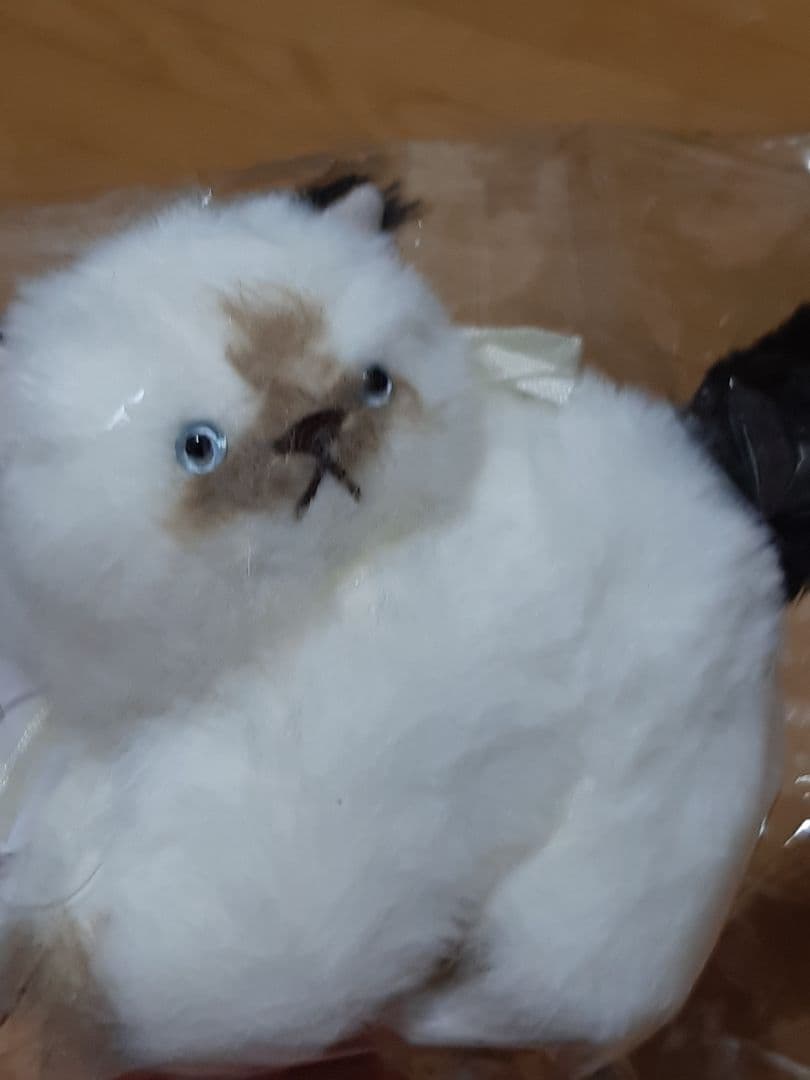 さてさん　作家　猫のぬいぐるみ‼️