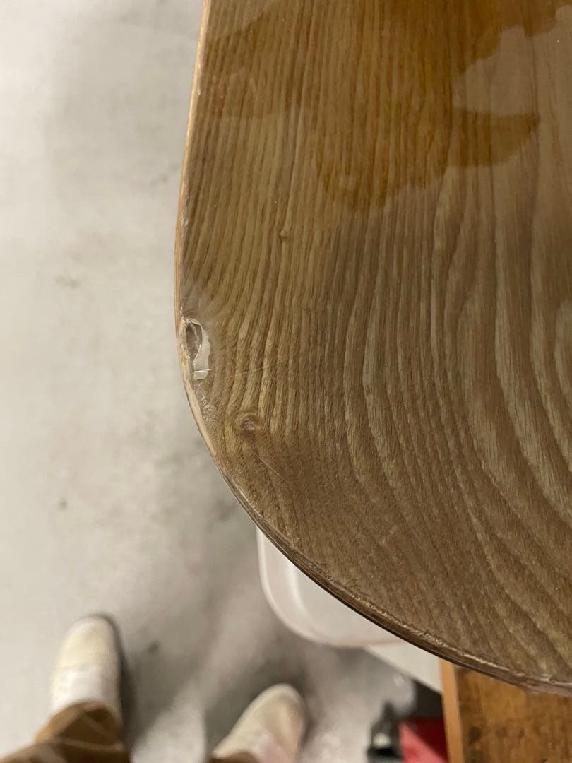 TJ brand ナポレオンフィッシュ