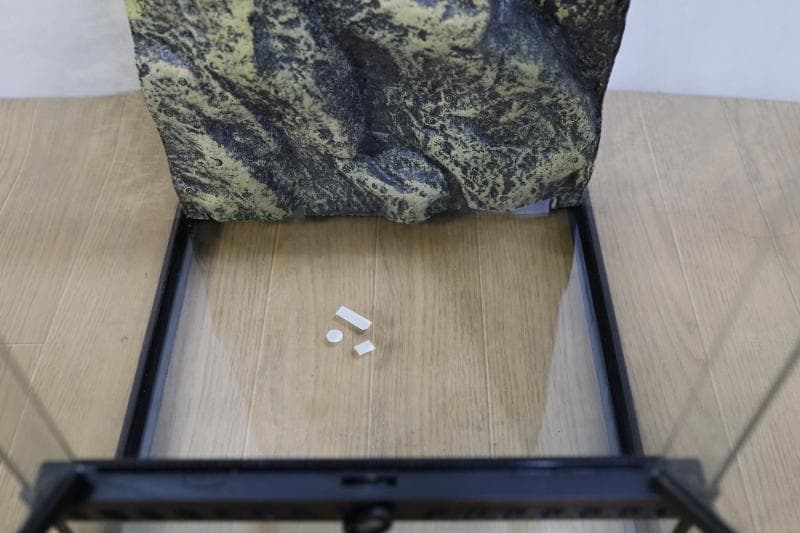 ◆ＧＥＸ　エキゾテラ　グラステラリウム3045◆爬虫類　飼育ガラスケージ　①