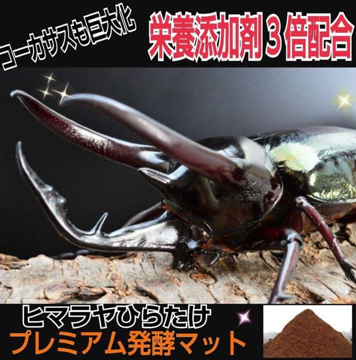 大人気！雑虫がわかない！完全室内製造！極上！プレミアム発酵カブトムシマット　8袋