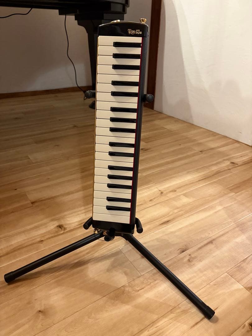 スズキ 鍵盤ハーモニカ メロディオン アルト PRO-37v3 美品