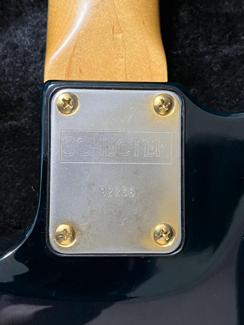 Vanzandt SCHECTER コンポーネントテレキャスター 上質木材使用