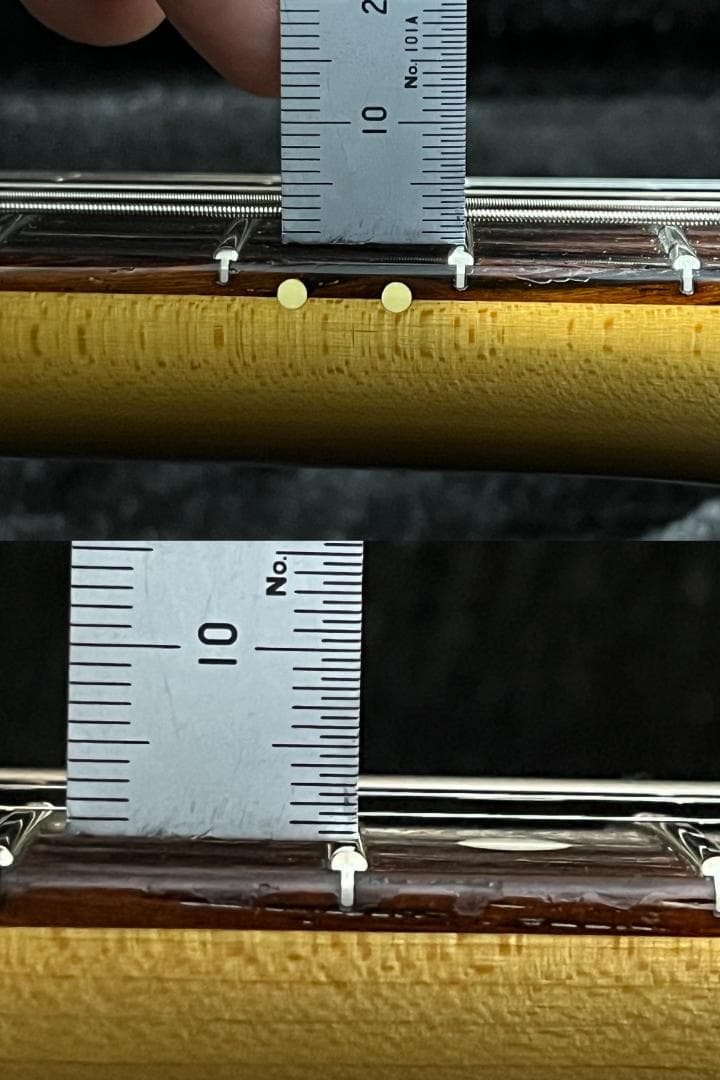 Vanzandt SCHECTER コンポーネントテレキャスター 上質木材使用