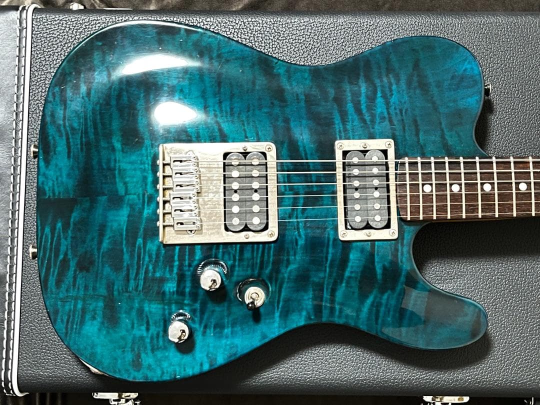 Vanzandt SCHECTER コンポーネントテレキャスター 上質木材使用