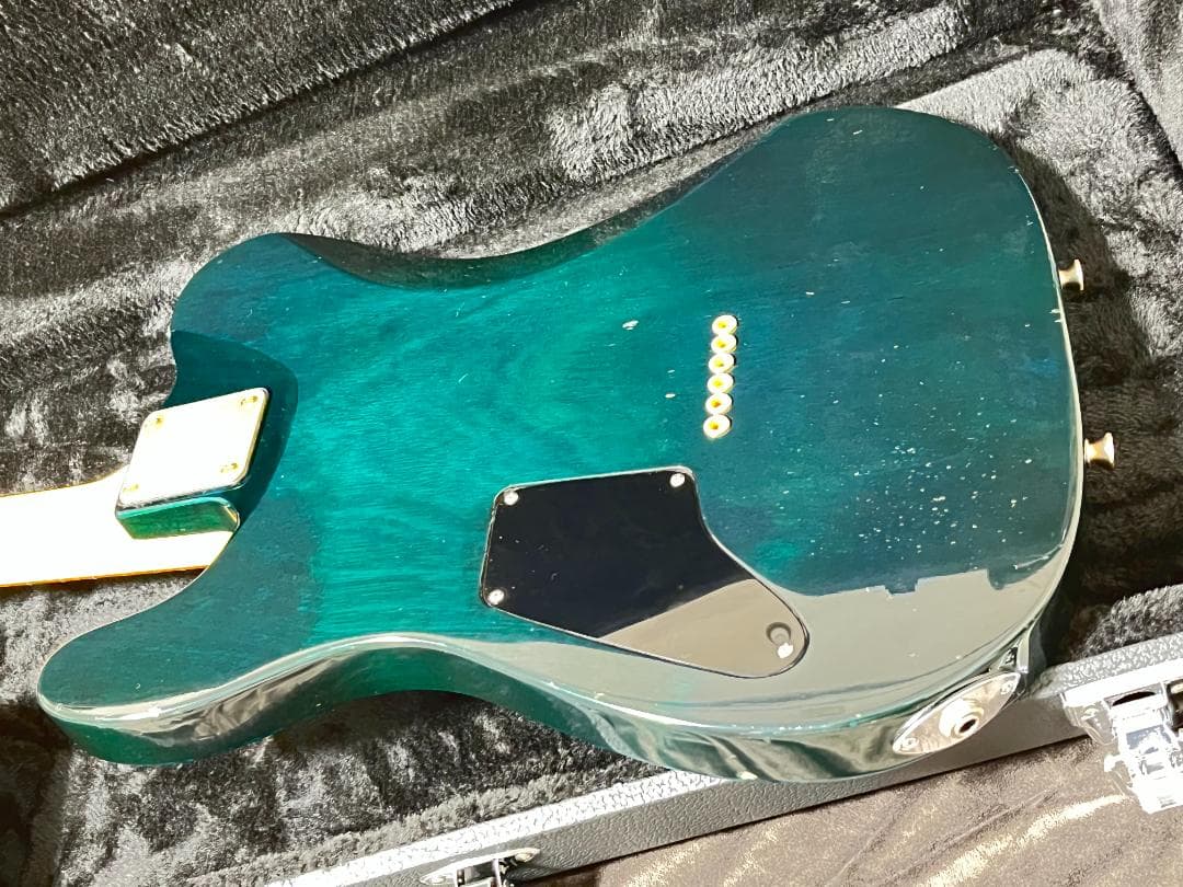 Vanzandt SCHECTER コンポーネントテレキャスター 上質木材使用