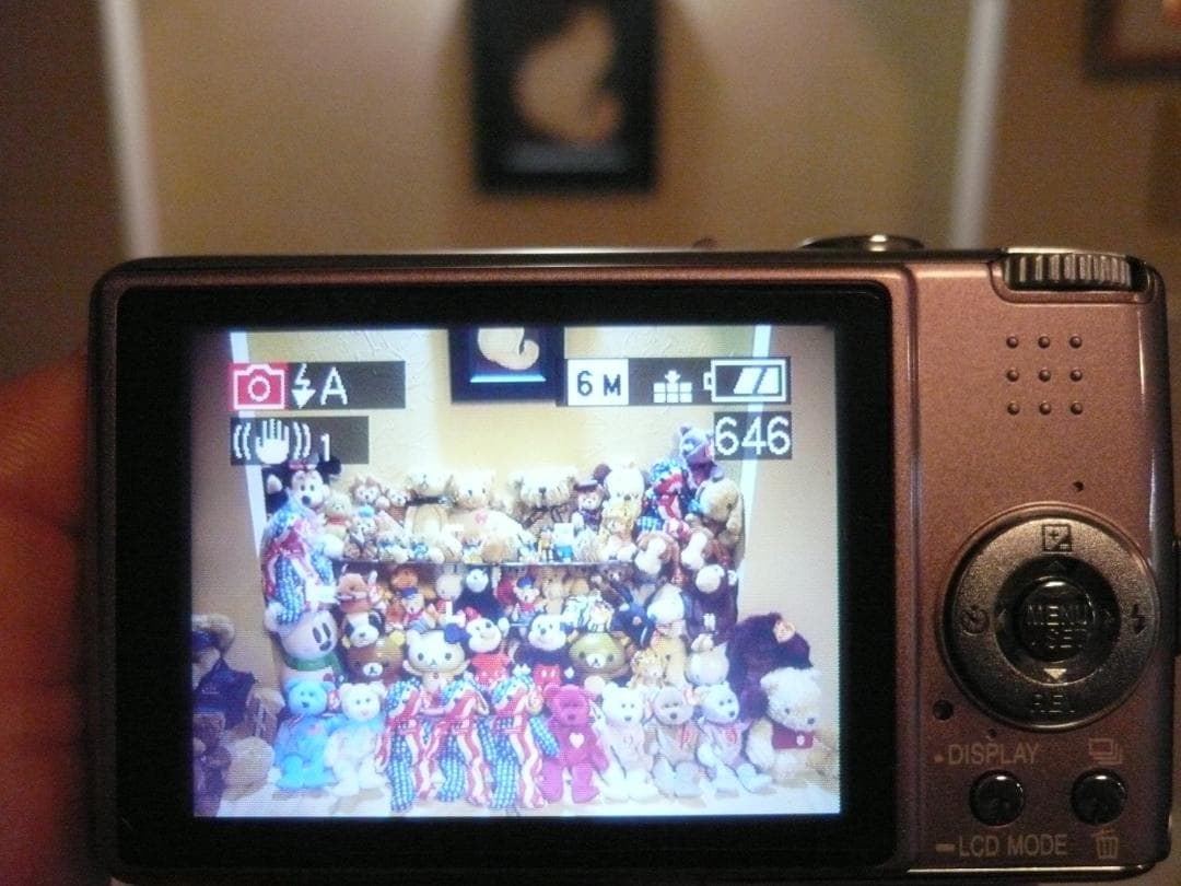 LUMIX★DMC-FX01⭐️美品❤️おしゃれで可愛いピンク色⭕️安心の実働品