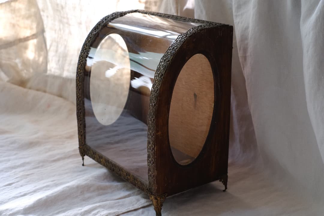 フランスアンティーク｜ガラスディスプレイケース