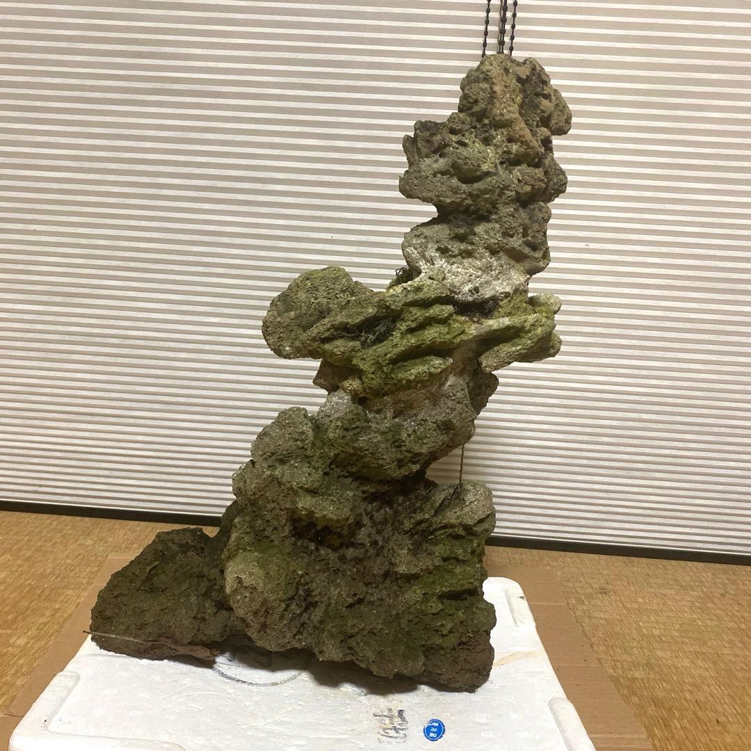 【美形】軽石　岩石　水槽　装飾 アクアリウム　NO3