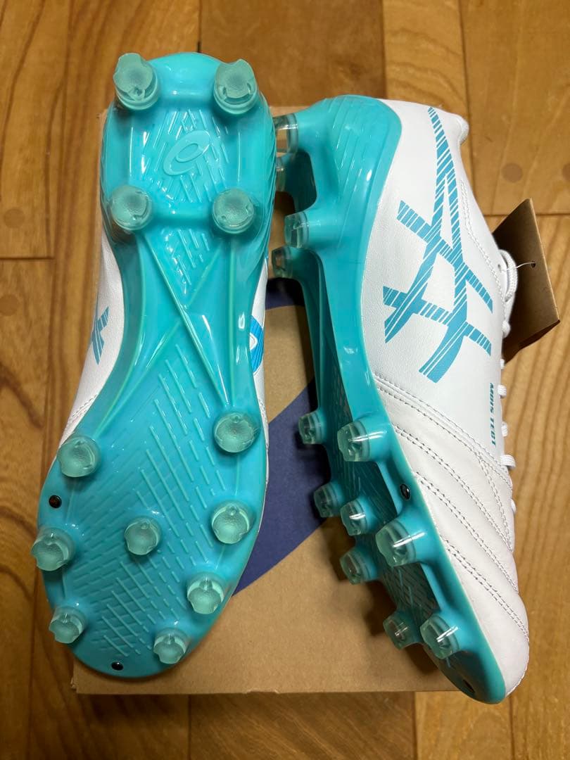 新品　限定カラー　大特価　アシックス　DSライト X-FLY5 25cm