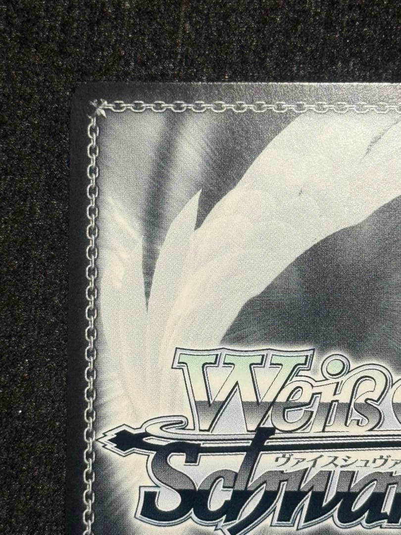 【マグネットローダー付き】ヴァイス　四万十　sp