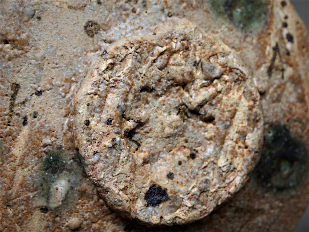 希少作★アロンサイス★【黄瀬戸織部】茶碗★共箱