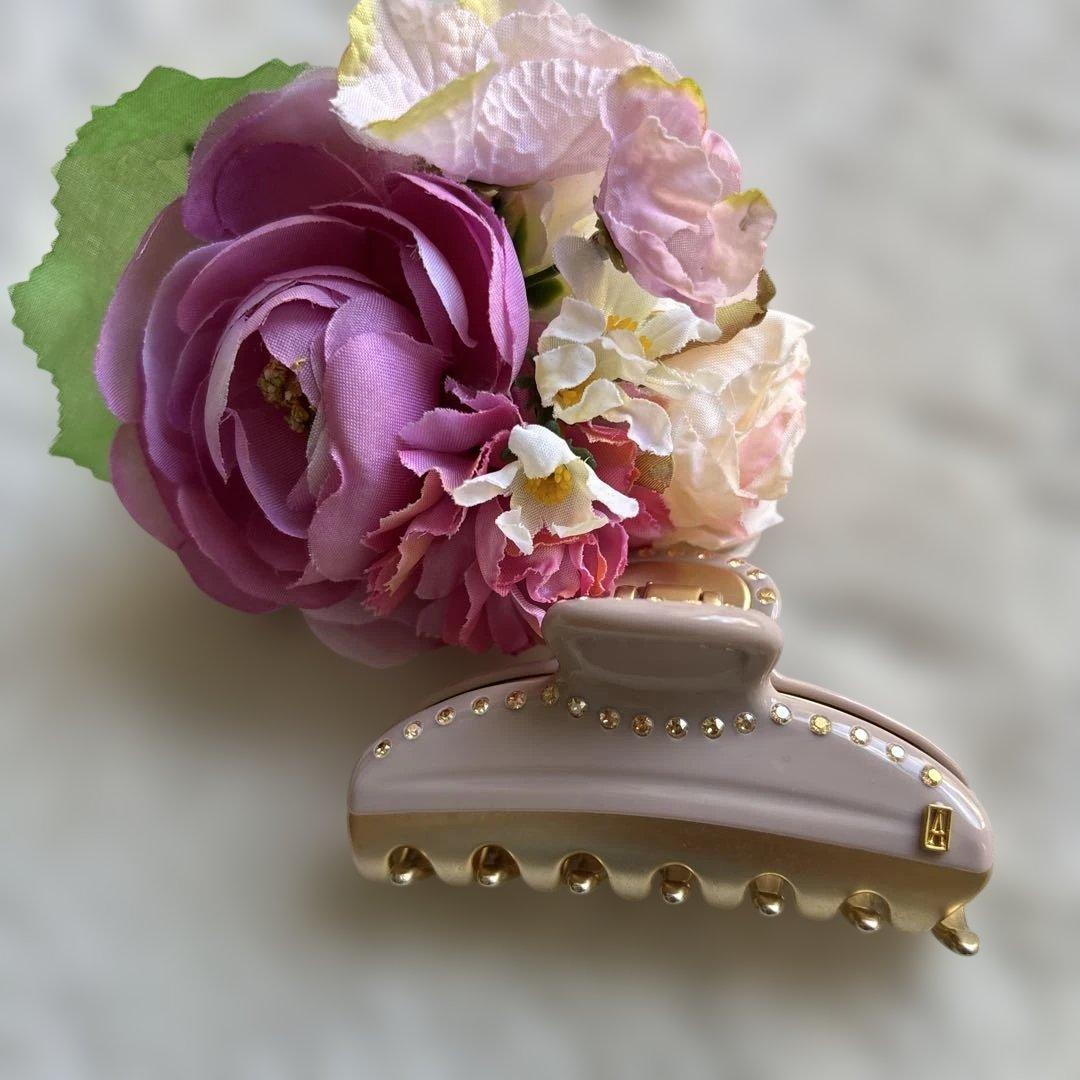 ✴︎美品✴︎アレクサンドルドゥパリ ヴァンドームクリップ Mクリップ