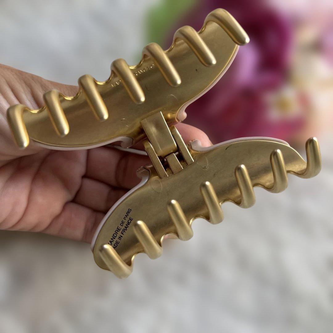 ✴︎美品✴︎アレクサンドルドゥパリ ヴァンドームクリップ Mクリップ