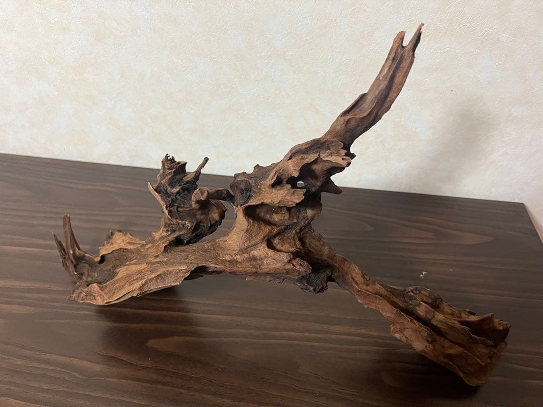 HX-057流木　マシンガンウッド　ホーンウッド アクアリウム　ブランチウッド