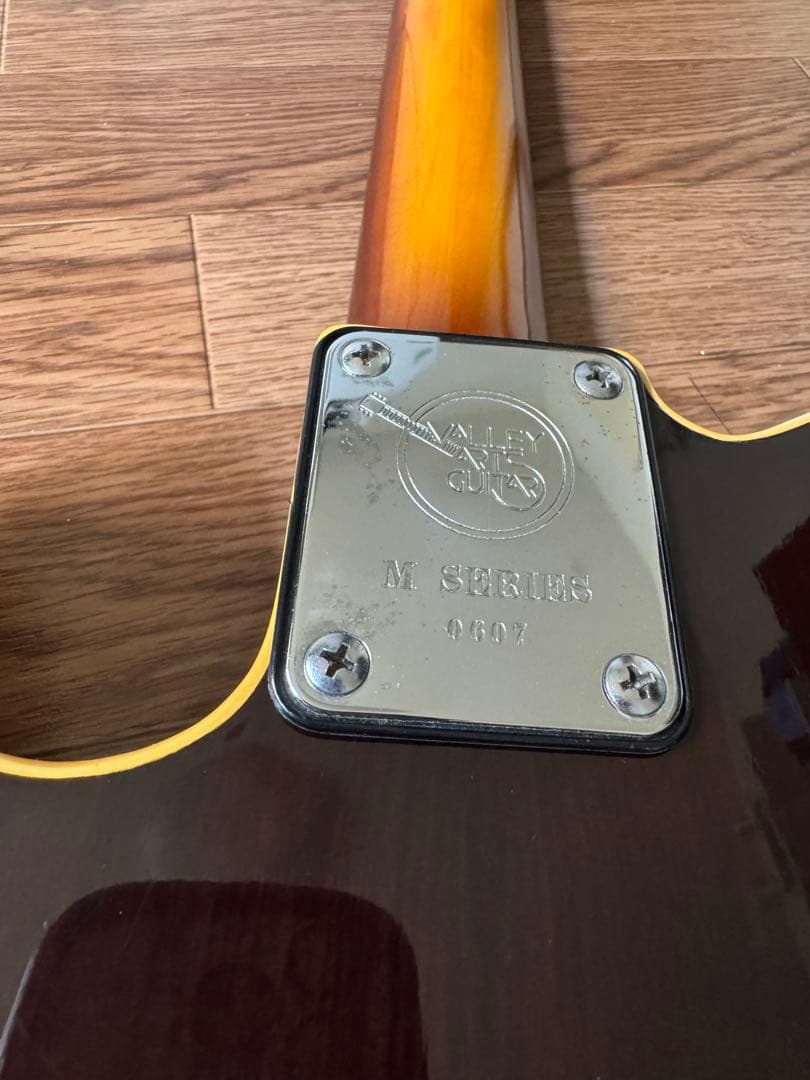 Valley Arts m Series Deluxe TLタイプ