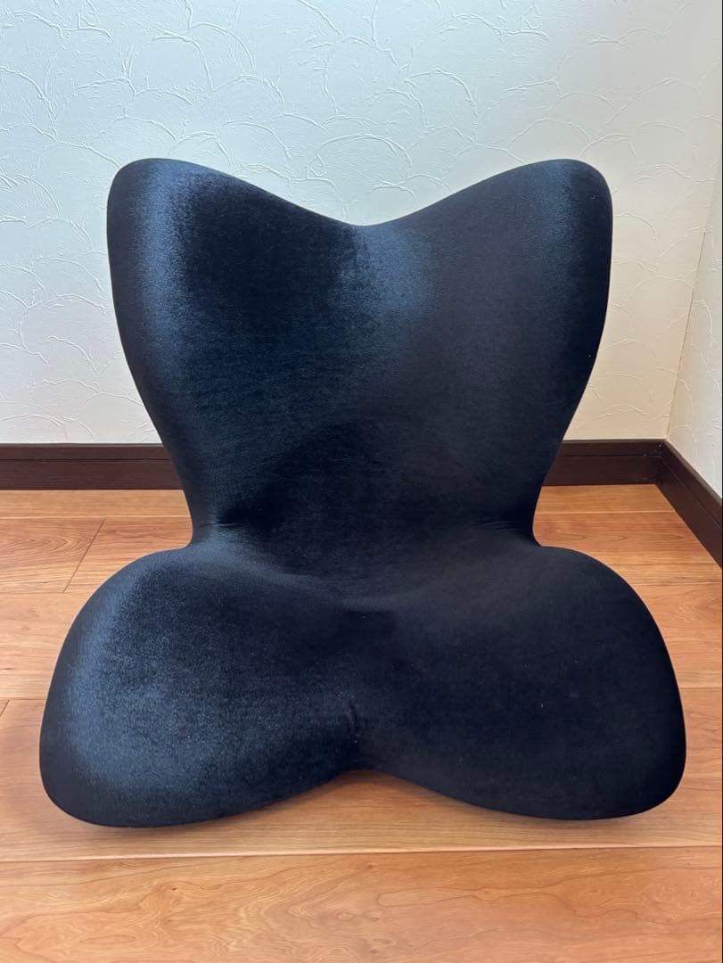 美品 Style PREMIUM DX スタイルプレミアムデラックス　ブラック