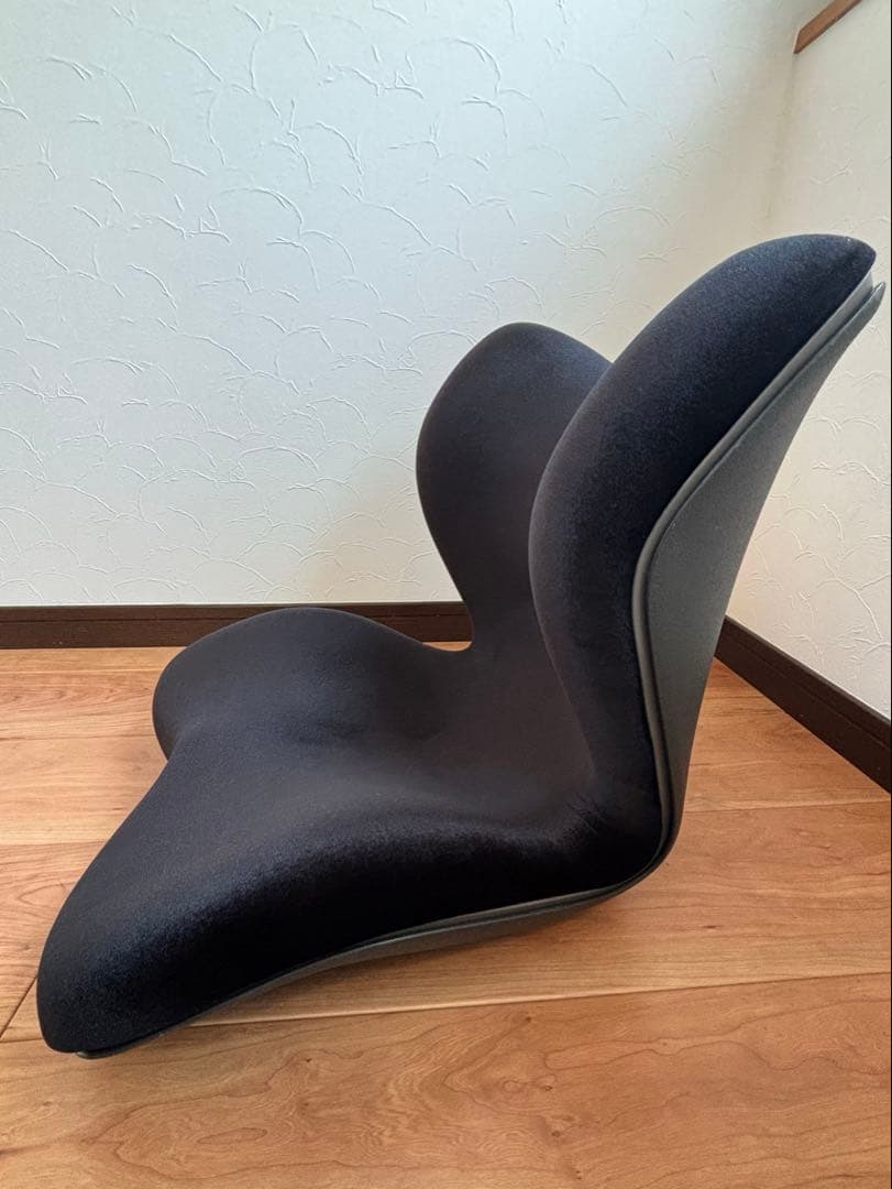 美品 Style PREMIUM DX スタイルプレミアムデラックス　ブラック