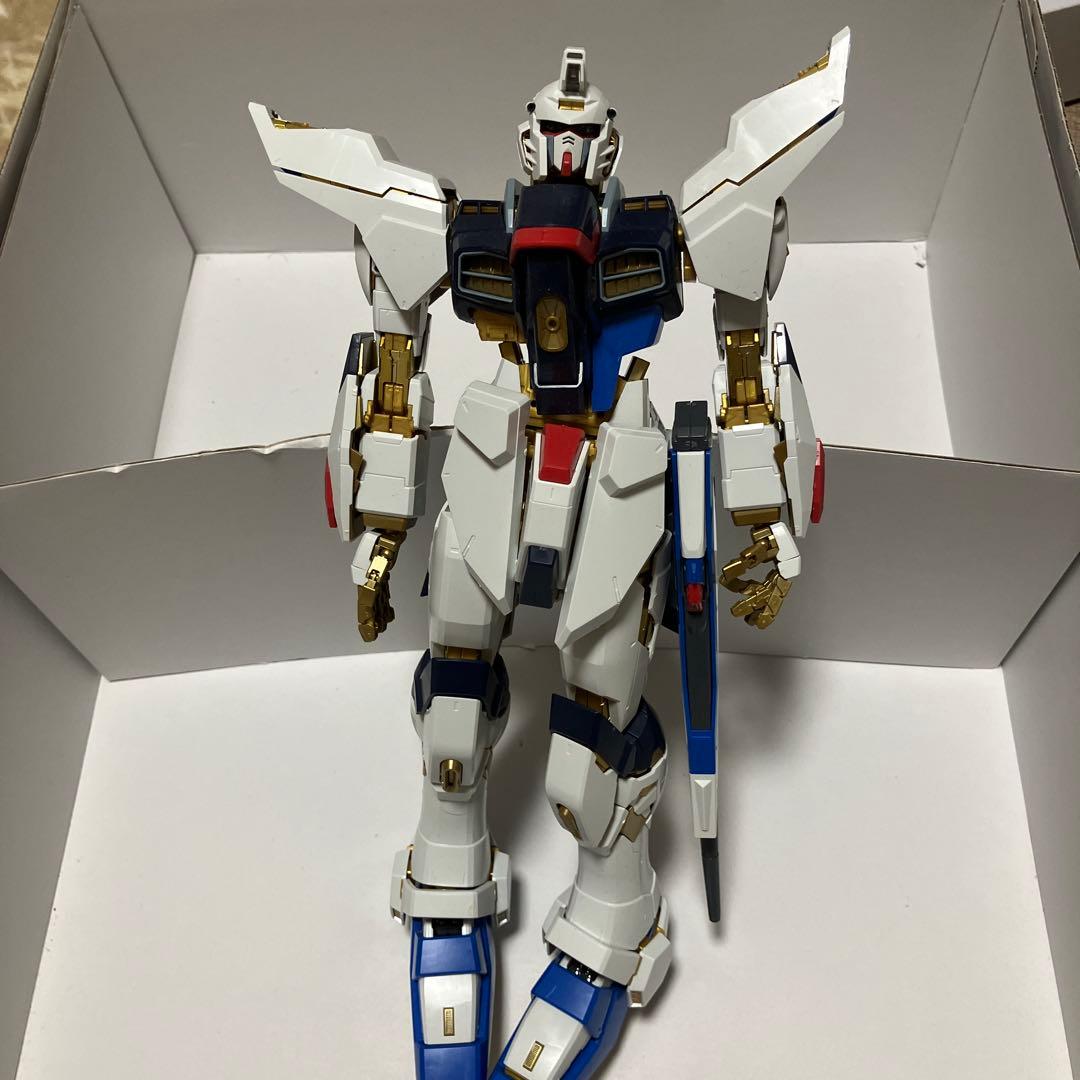 ⚠️ジャンク品！ZGMF-X20A ストライクフリーダムガンダム PG