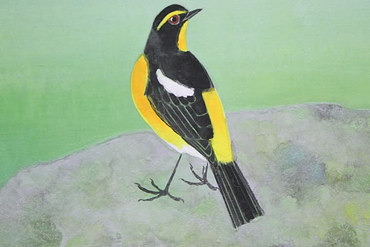 野々内良樹【黄鶲】 日本画 8号 共シール有り