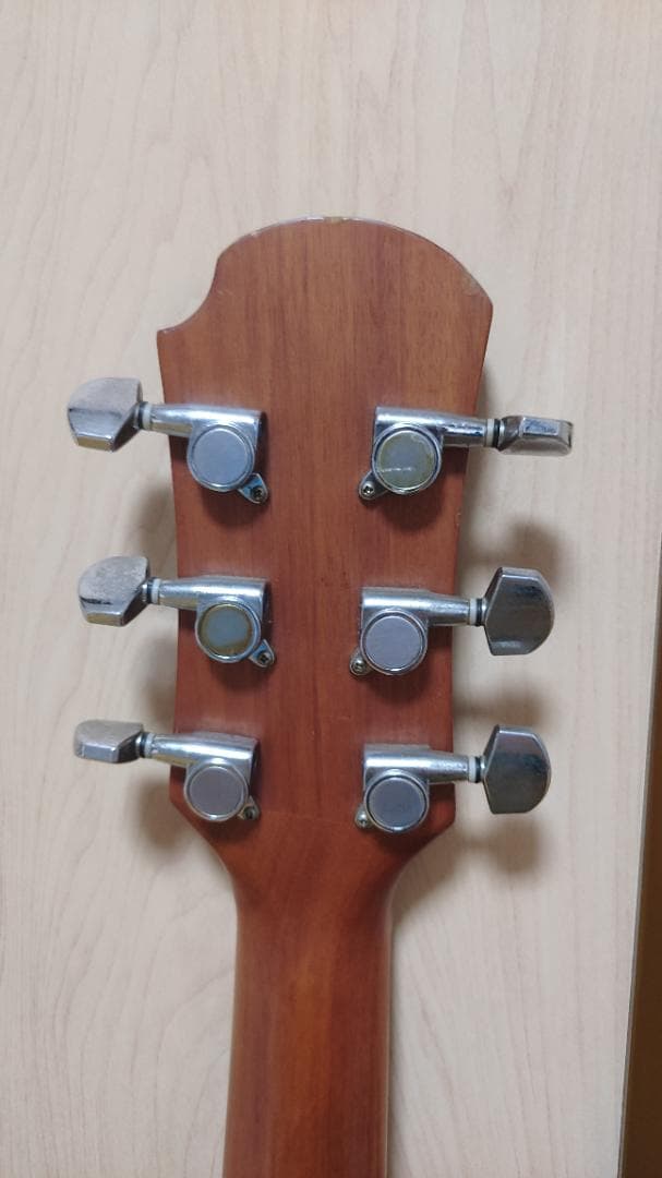 ギター Sepia Crue Custom EA-300