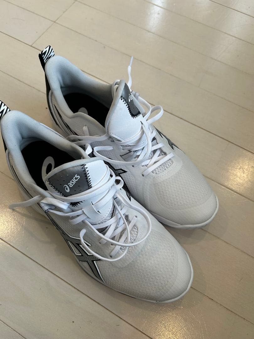 シューズ(男性用) SWIFTACE