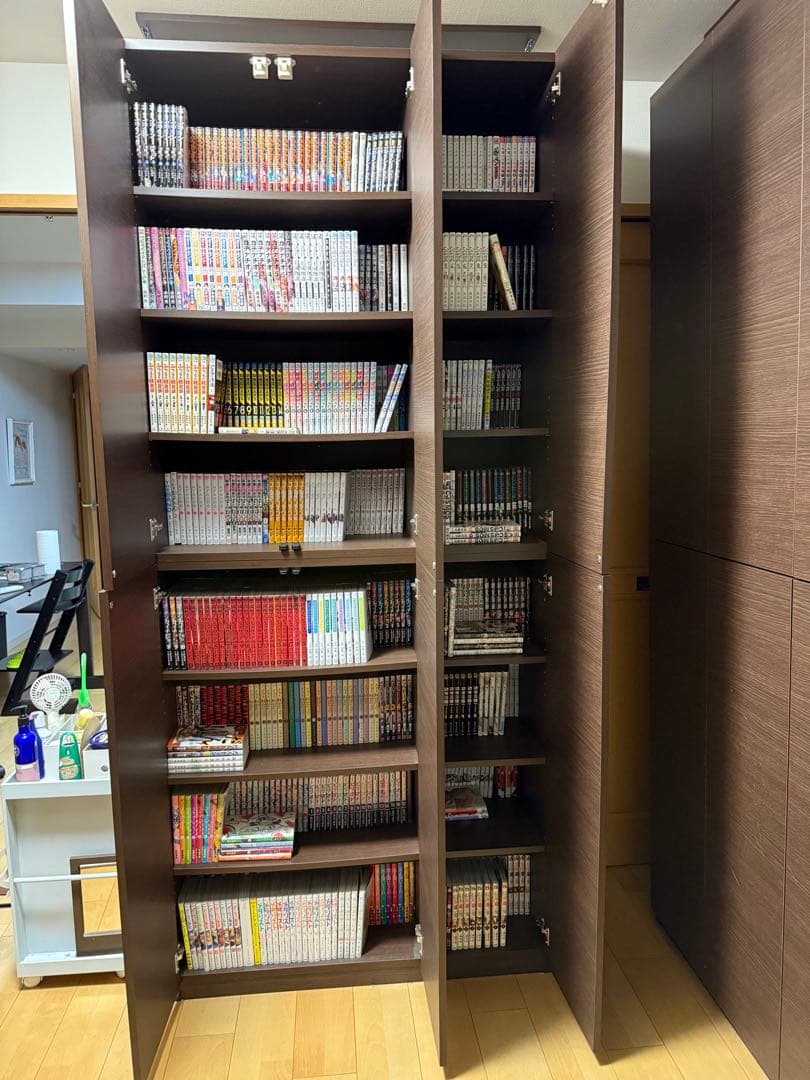 【値下げ応相談】ディノス　扉付き本棚（高さ230×幅100×奥行45）