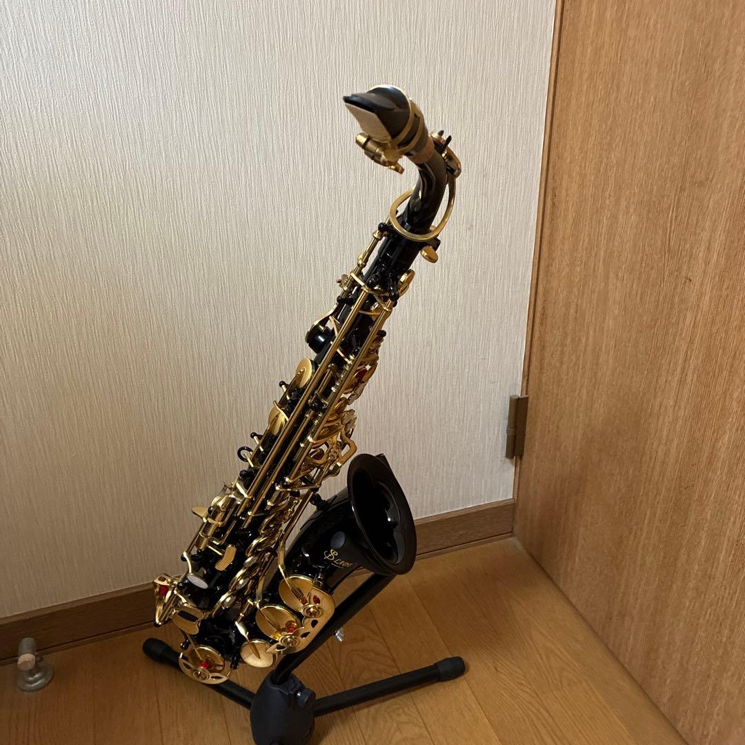 t*g様 SLIDE サックス本体 黒ケース付き