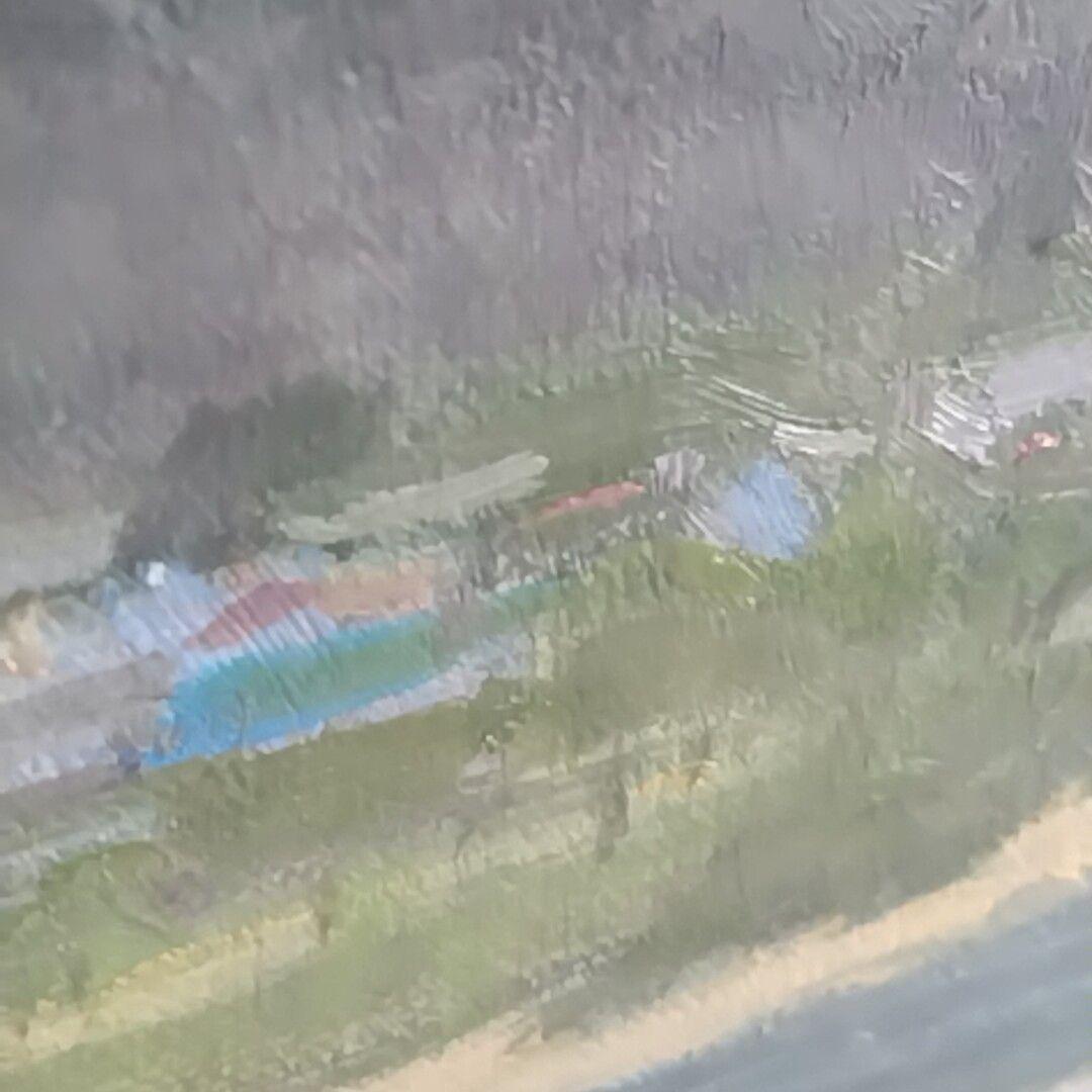 新井隆「川岸に芽吹く」油彩 ６号 風景画 未鑑定 ゴールドフレーム