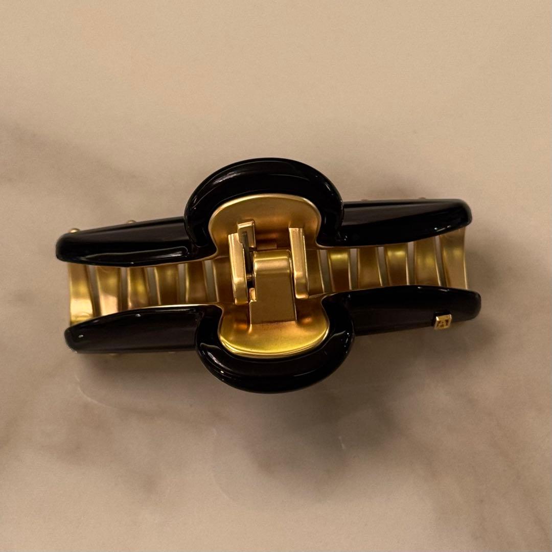 新品　アレクサドルドゥパリ　クリップ