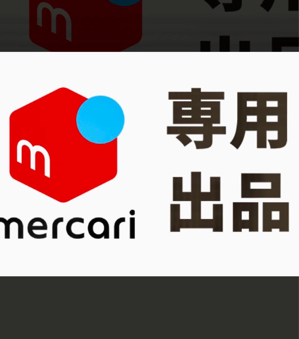 ちょうさん　　DS物流オーダー製作代トラックコレクション