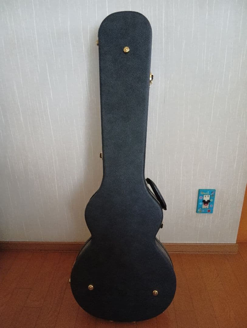 ゼマイティスA24SU NATURAL PEARL 純正ハードケース付き