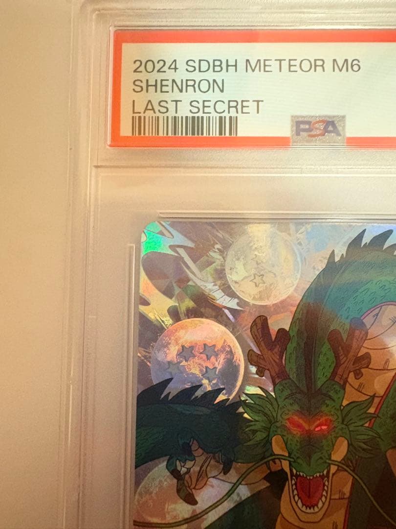 MM6-LSEC 神龍　PSA10