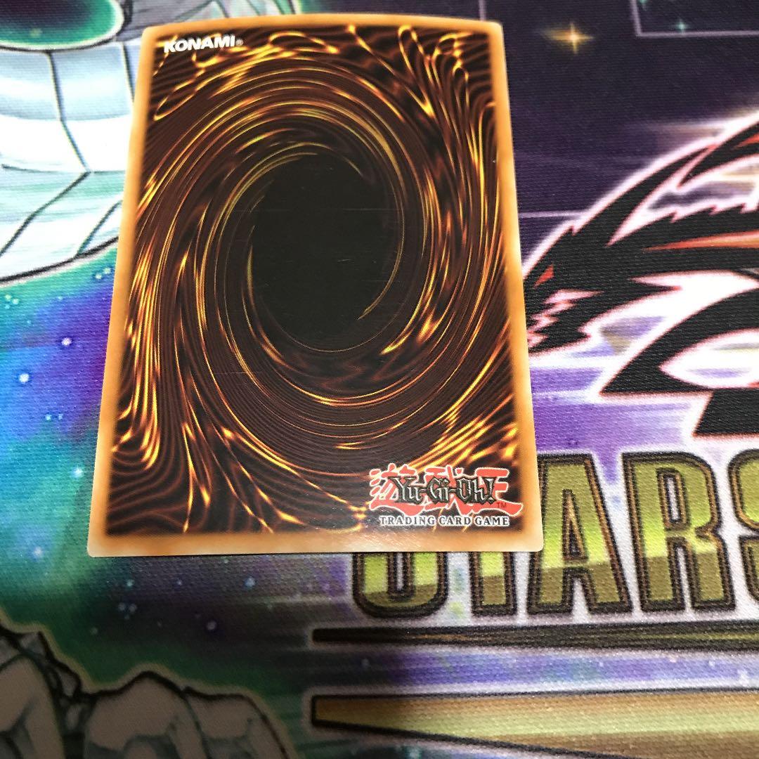 遊戯王 ブラック・ローズ・ドラゴン　フランス語　シークレット