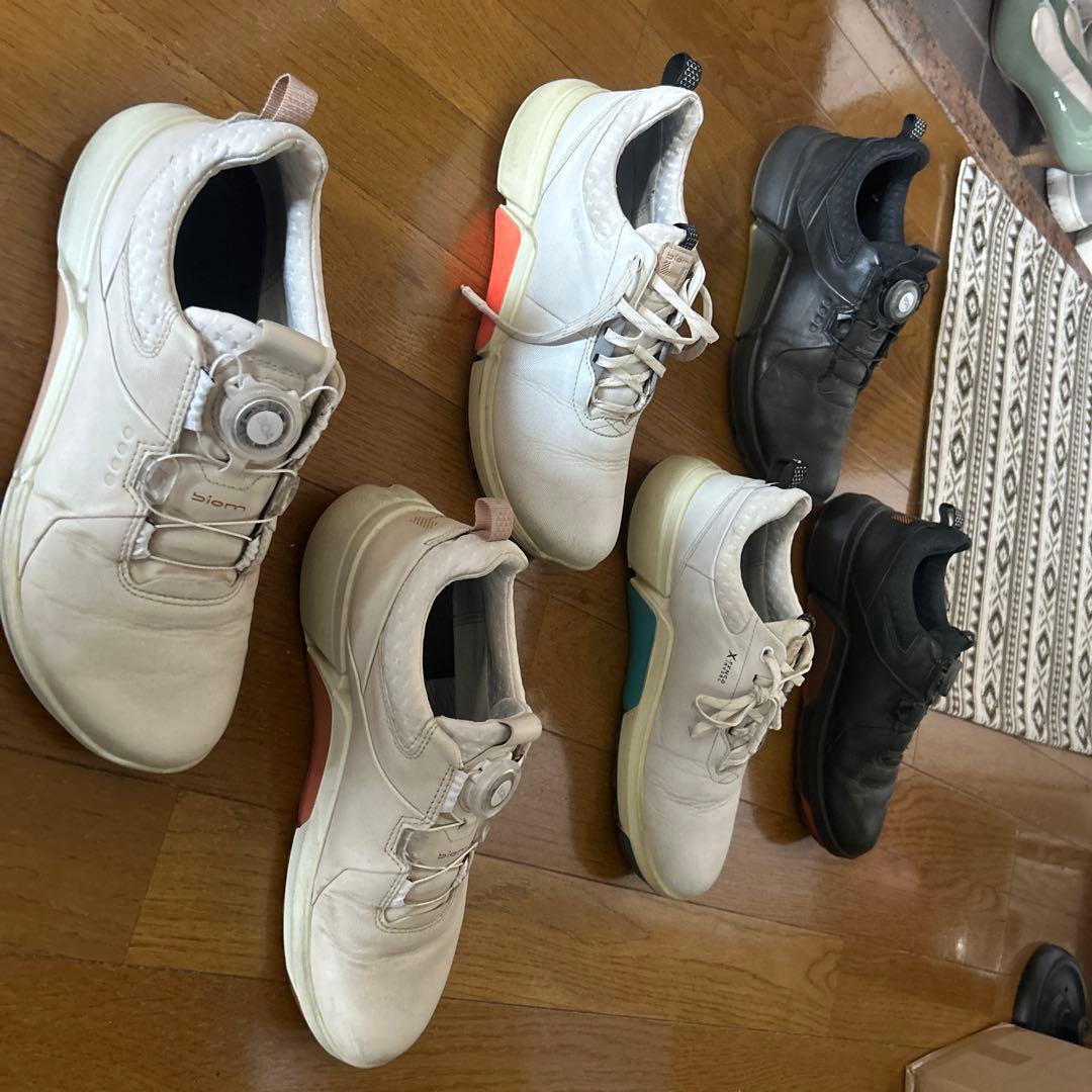 【よっちゃん】エコー　レディース用　ゴルフシューズ