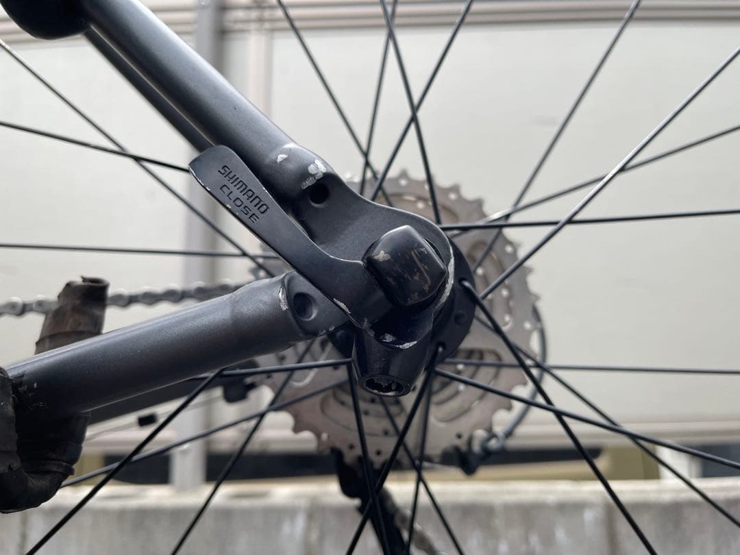 KhodaaBloom コーダブルーム FARNA ファーナ TIAGRA