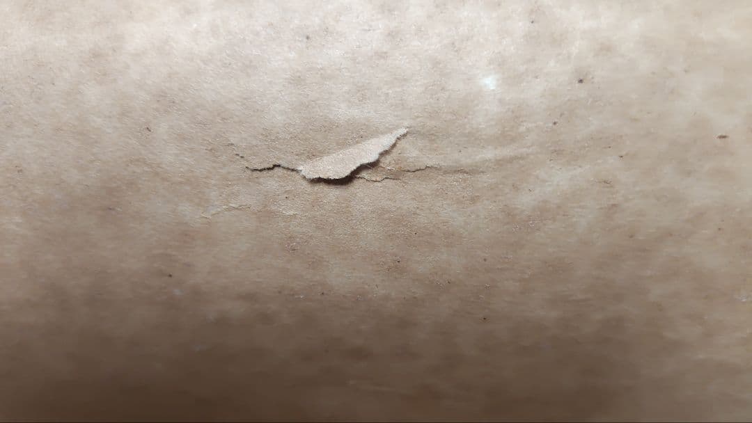 水墨画 自然風景 掛け軸