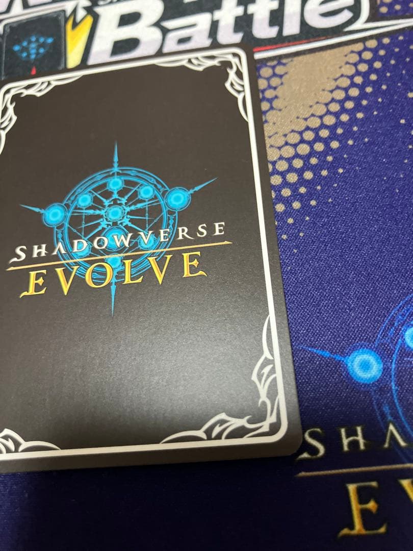 飢餓の絶傑　ギルネリーゼ　PR