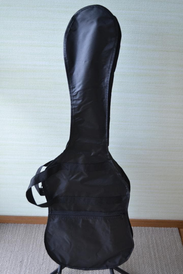 Bacchus UNIVERSE SERIES テレキャスタイプ