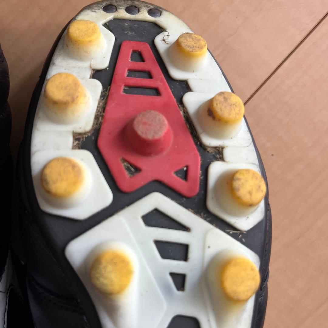 なぎ　モレリア2 japan 26センチ