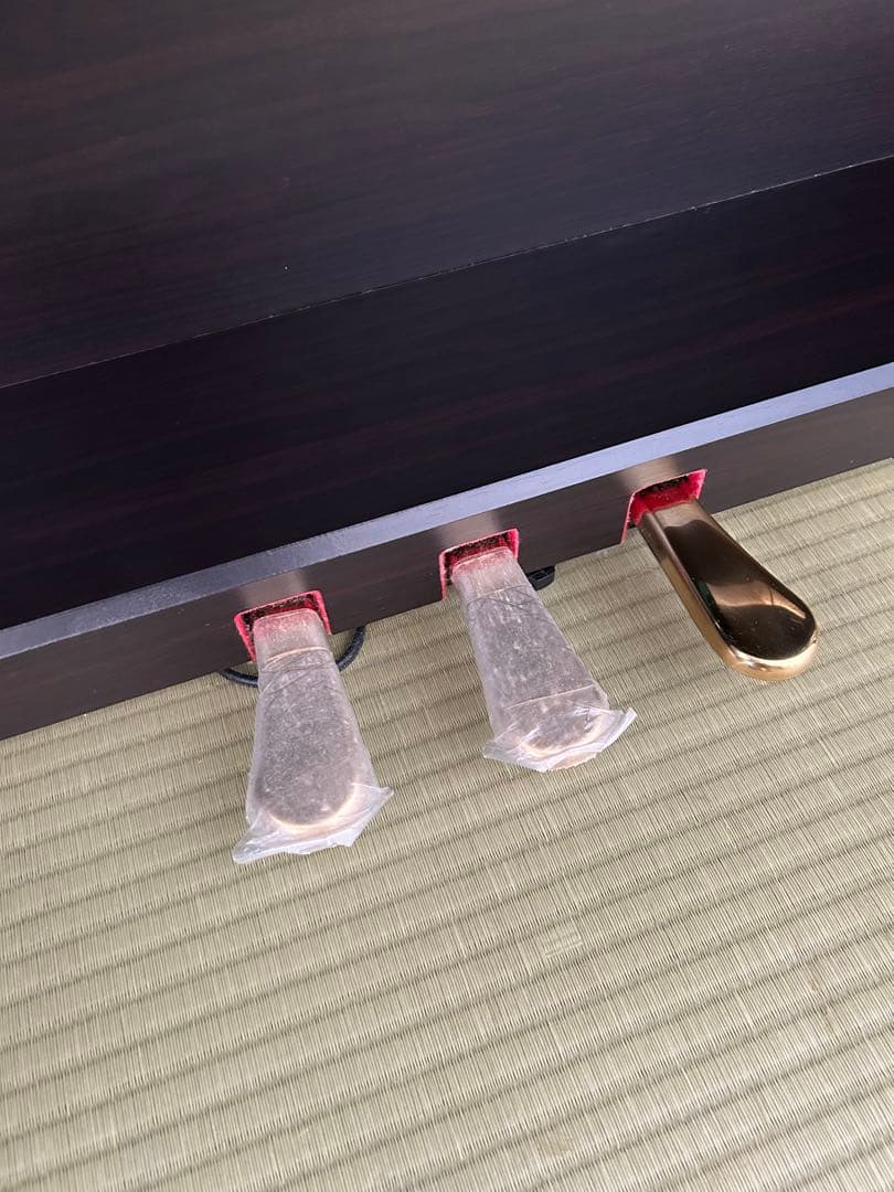 【送料込み】KAWAI デジタルピアノ CN24R【専用イス別売り】