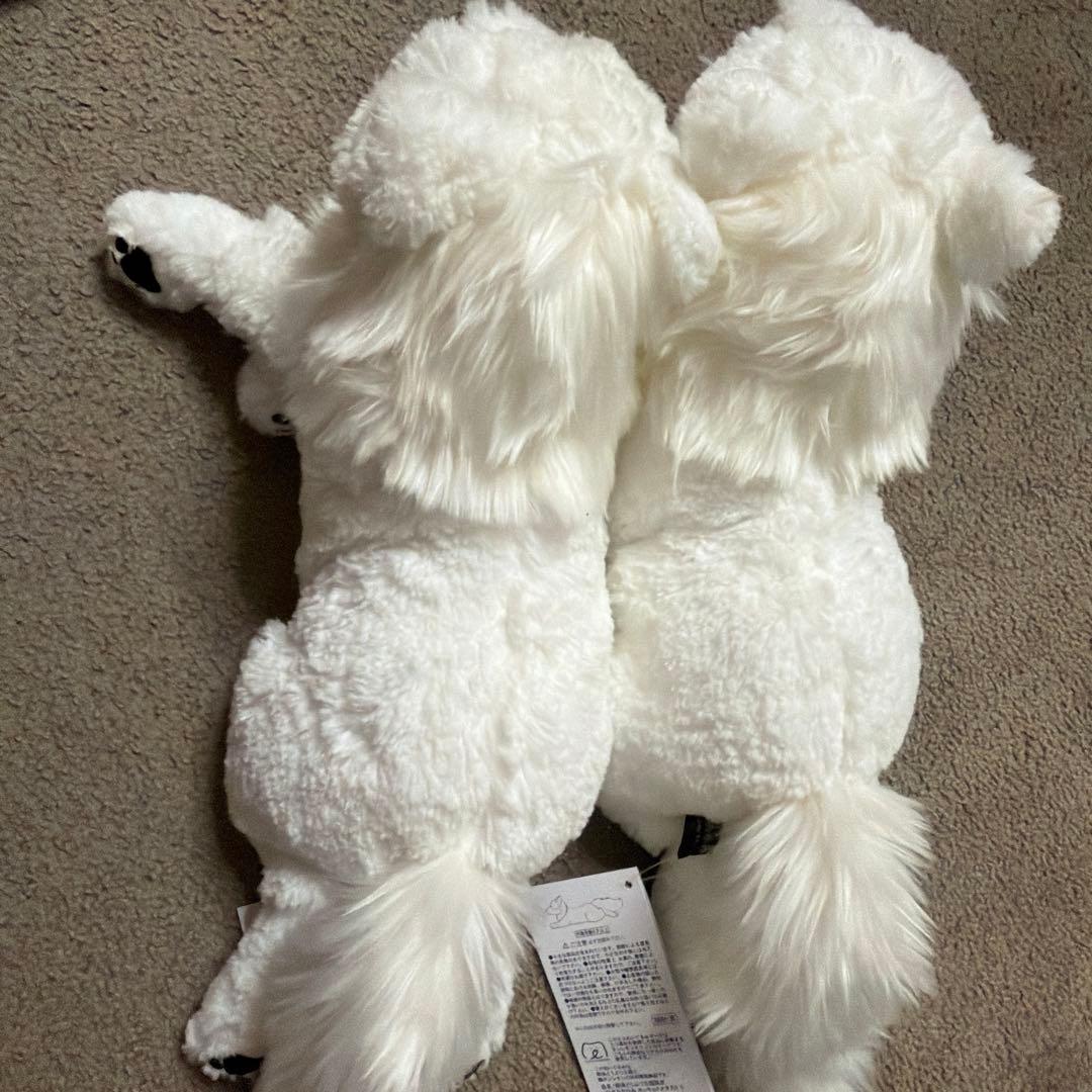 那須どうぶつ王国 限定 ひざおおかみ ホッキョクオオカミ S ぬいぐるみ 2個