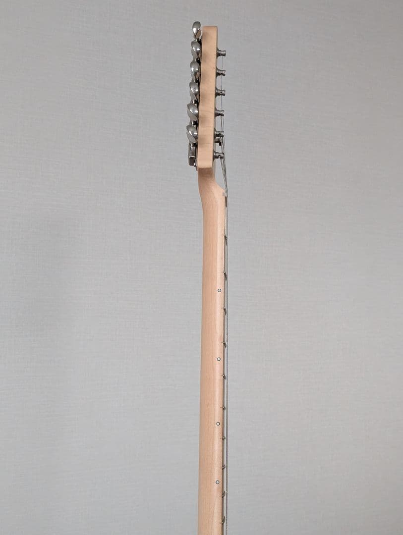 フジゲン Expert ODYSSEY EOS-ASH-M/SBB 中古