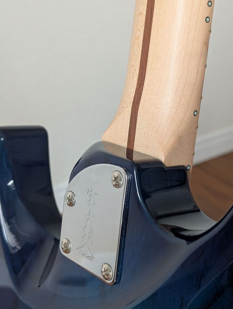 フジゲン Expert ODYSSEY EOS-ASH-M/SBB 中古