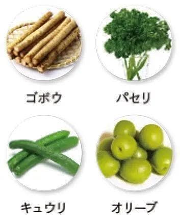 【チェントンツェ トリートメントヘアクレンジングR シャンプー】500ｍL✖２