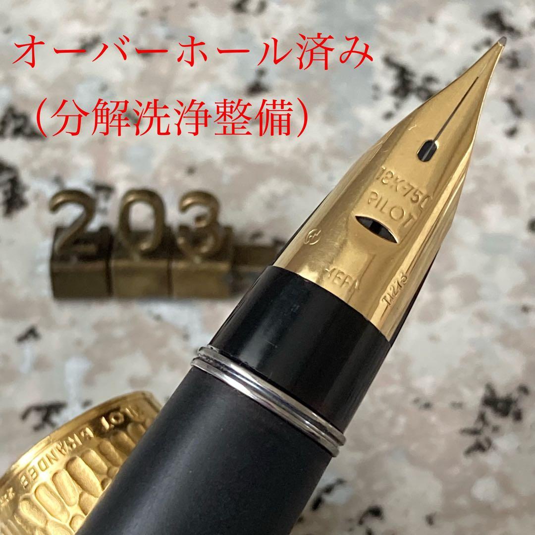 #203 オーバーホール済み 万年筆 PILOT 槌目 22KAGM 18k