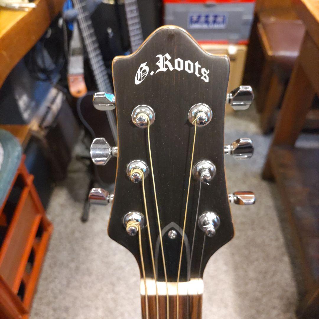 GrassRoots G-AC-45 エレアコ (管理ワテ)