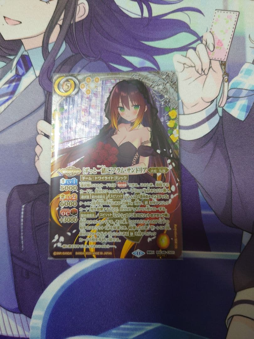 【ずっと一緒に】フラム・サンドリア シークレット