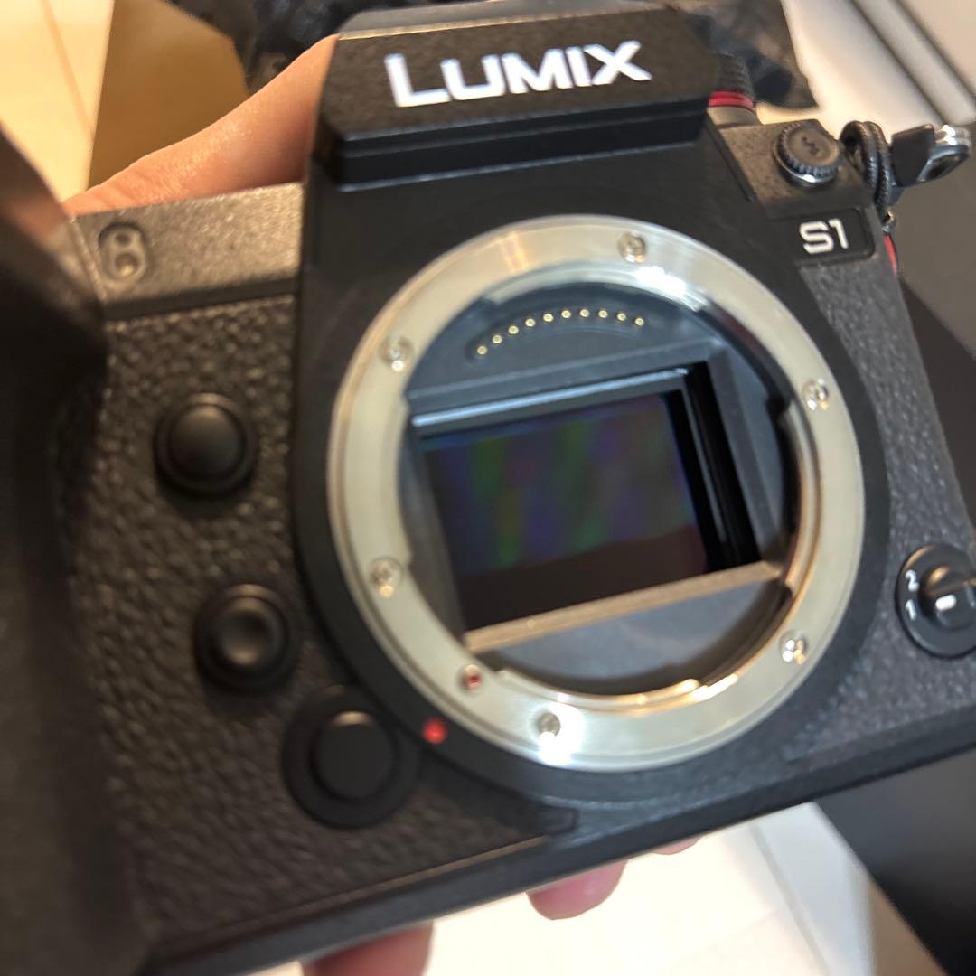 【少し訳あり・海外版】Panasonic LUMIX S1 ボディ