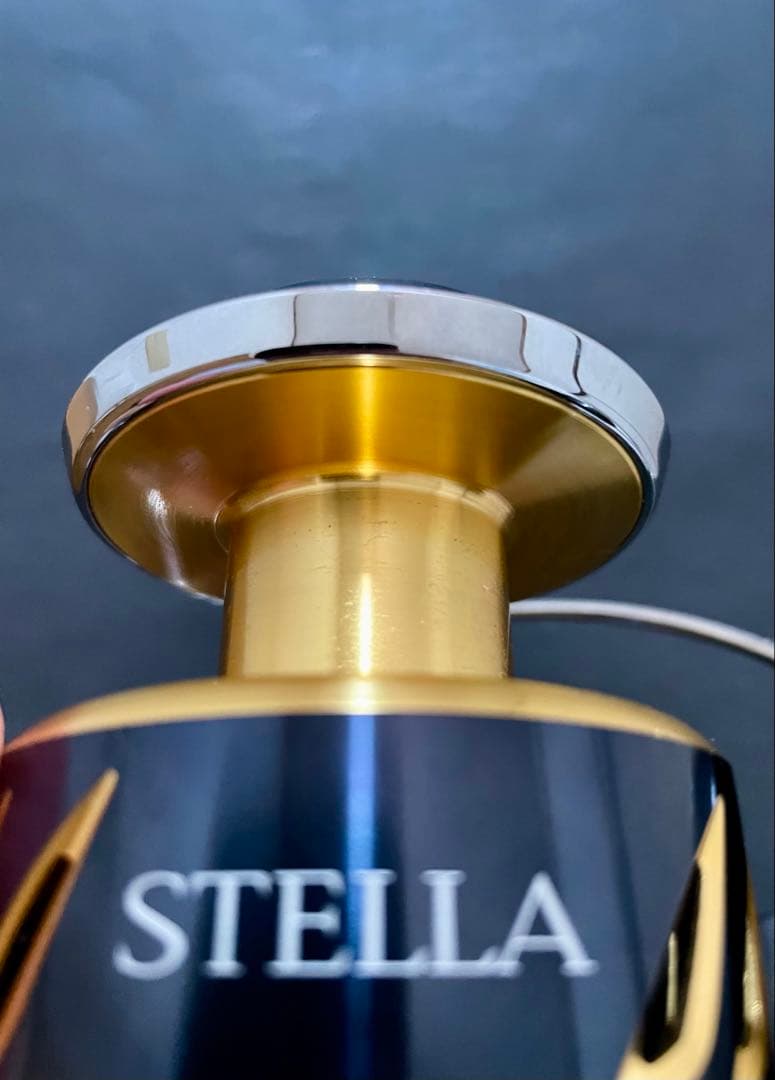 ステラ13 SW8000PG スピニングリール